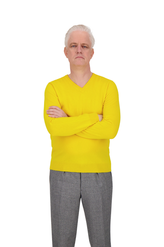 Knitwear Arles yellow V-Neck Cashmere