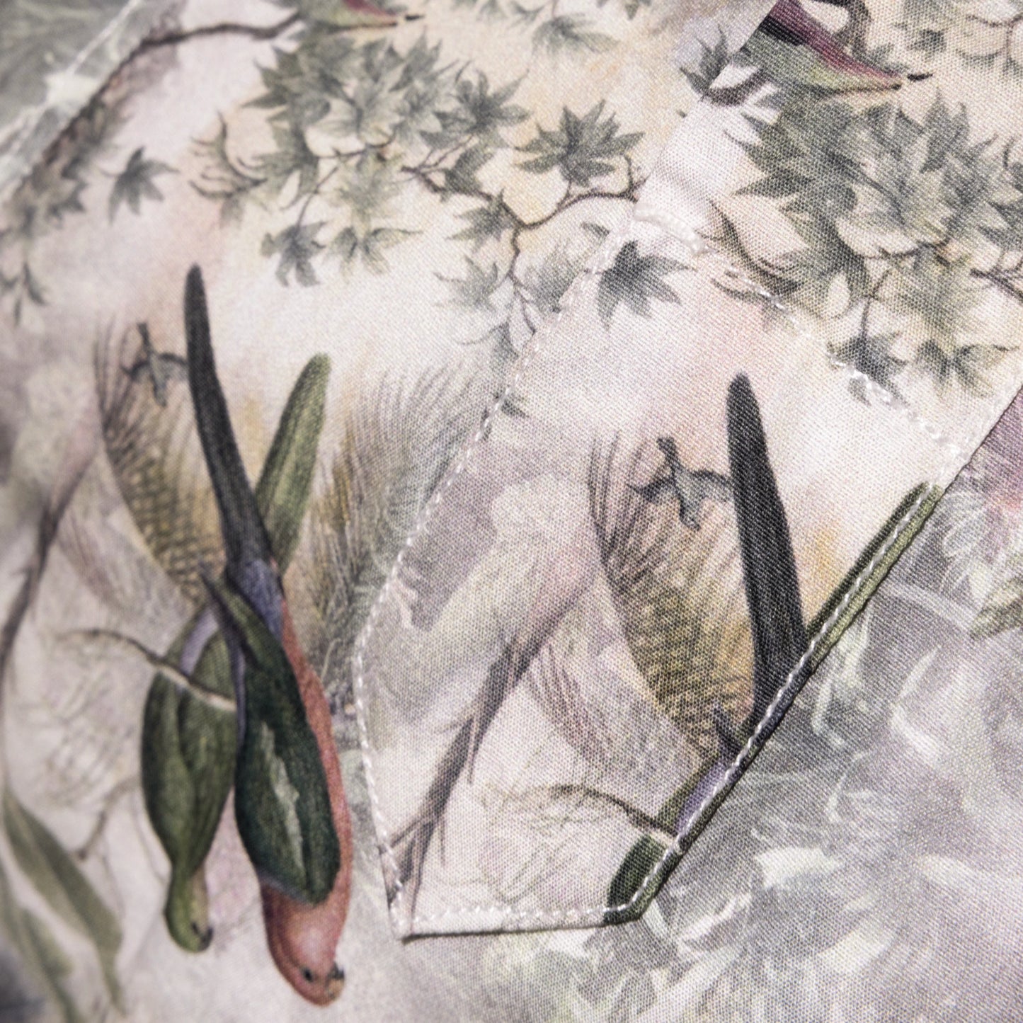 Shirt Paris Swiss Cotton bird print